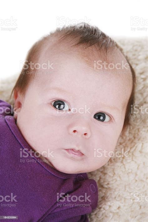 Six Month Old Baby Boy Stock Photo Download Image Now Baby Human