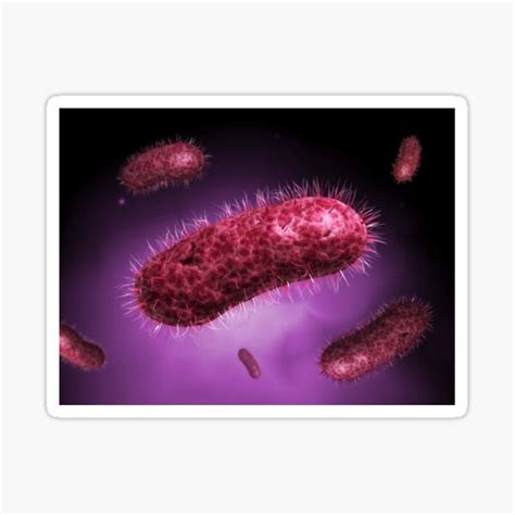 Microscopic View Of Bacteria Sticker By Stocktrekimages Redbubble