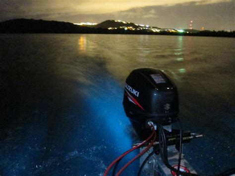 Bioluminescent Bay Fajardo 2019 All You Need To Know Before You Go