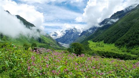 4 Places To Visit In Valley Of Flowers 2022 Sightseeing And Things