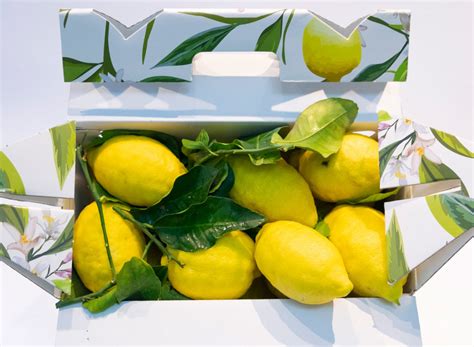 lemons - Amalfi Lemon