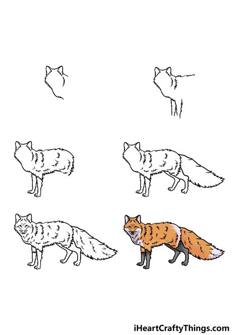 Red Fox Drawing Easy Kristan Vann