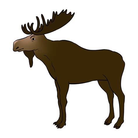 Maine Moose Drawing Results