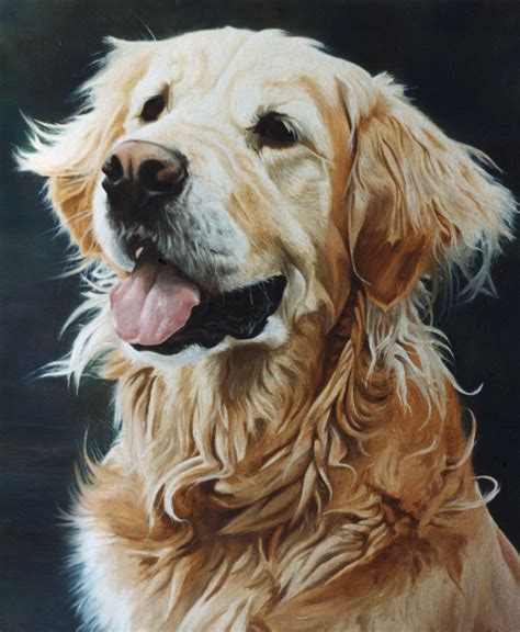Golden Retriever Dog Portrait 1 Painting Oils On Canvas Peintures De