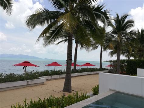 ausblick tui sensimar koh samui adults only resort and spa maenam holidaycheck koh samui