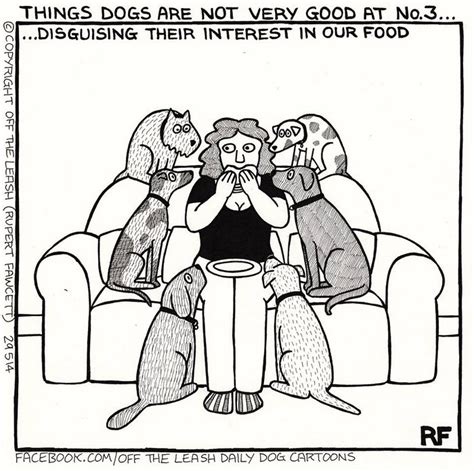 10 Hilarious Comics About Life With Dogs By Off The Leash
