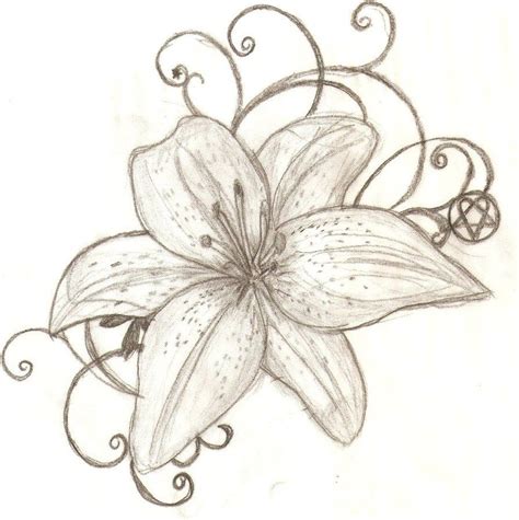 Lily Flowers Drawings Tiger Lily Tattoo Designs Tattoo Design Tiger Lily By Lguest On