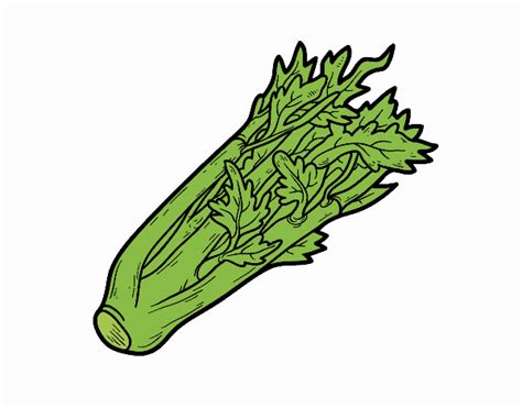 Find more celery coloring page pictures from our search. Colored page A celery painted by User not registered