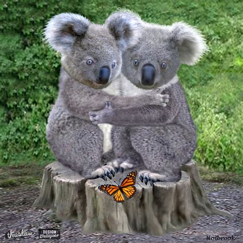 Score Baby Koala Bears Hugging By Holbrookart On Threadless