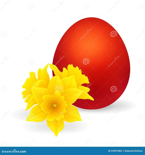 Easter Egg And Daffodils Stock Vector Illustration Of Card 23991865