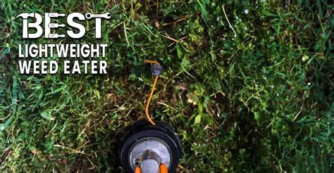 Best Lightweight Weed Eater Comfortable Garden Maintenance With This