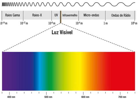 Em Qual Faixa Do Espectro Visível Os Carotenos Absorvem Majoritariamente