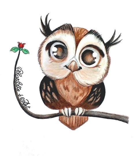 Owl Drawing Easy Cute