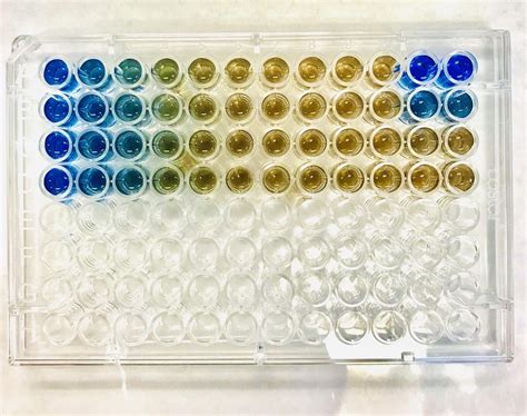 Bradford Protein Assay On A 96 Well Plate Chemistry