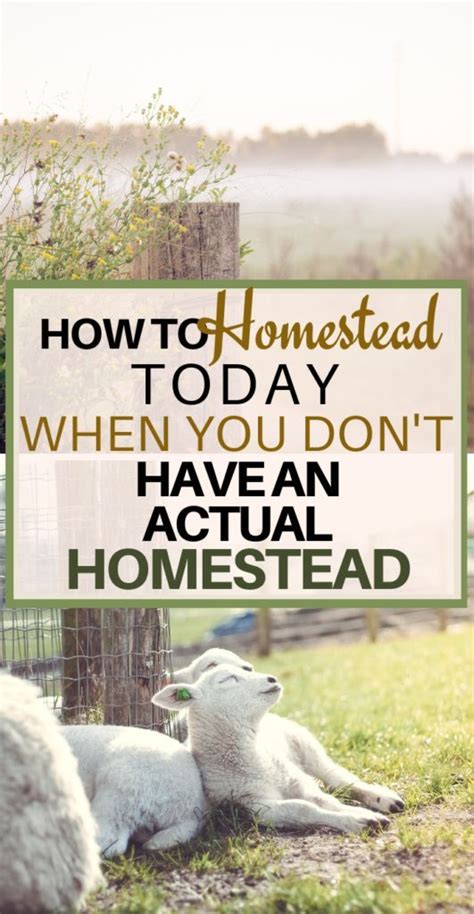 click now to learn how you can start homesteading today even if you don t have an actual