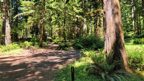 Complete Guide To Olympic National Park
