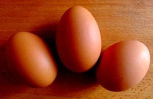 4 Diet Foods That Are Delicious Too – Herbalcart