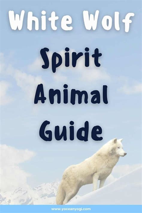 The White Wolf Spirit Animal And Totem Meanings Yocean Yogi