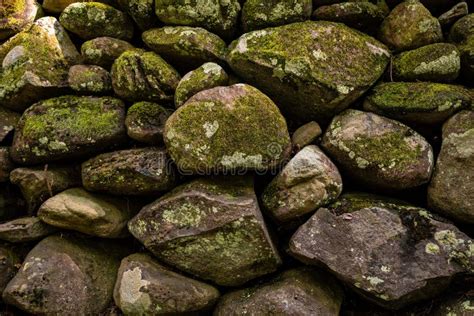 Moss Grows On Dry Stacked Stone Wall Stock Image Image Of National