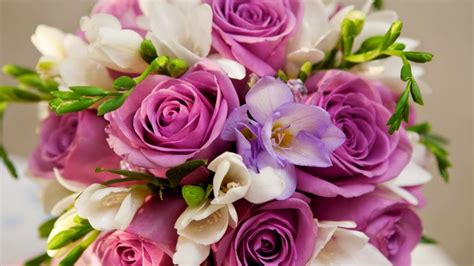 10 Gambar Bunga Cantik Dan Indah Warna Warni Gambar Top 10