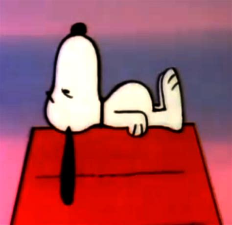 Snoopys Doghouse Peanuts Wiki Fandom Powered By Wikia