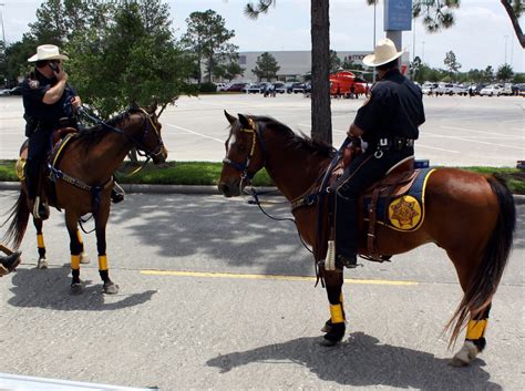 Harris County Sheriff Department Houston Texas Mounted Un Flickr