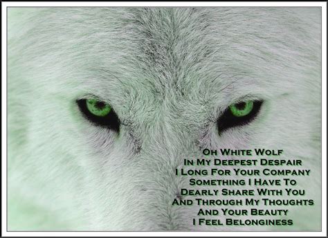 ×♥× Wolves Hidden Beauties ×♥× White Wolf Road