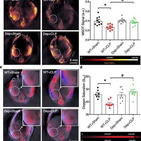 Dhhc21 Loss Of Function Attenuates Septic Injury Induced Reduction In