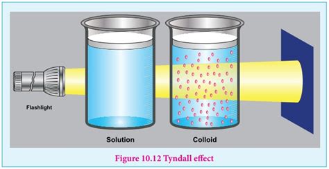 Properties Of Colloids Surface Chemistry