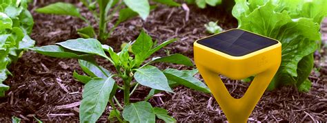 Revolutionize Your Garden W Edyn Garden Sensor