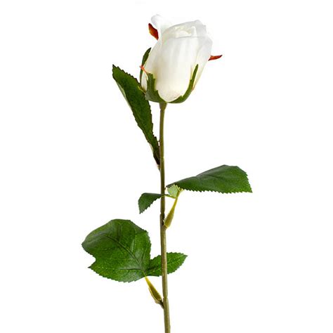 Siena Silk Rose Bud 66cmh White