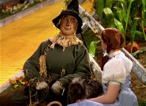 The Wizard Of Oz The Scarecrow Wallpapers Wallpaper Cave