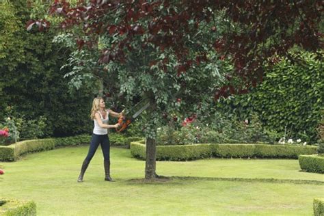 Emma Uses A Saw On Reginas Apple Treethe Thing You Love Most