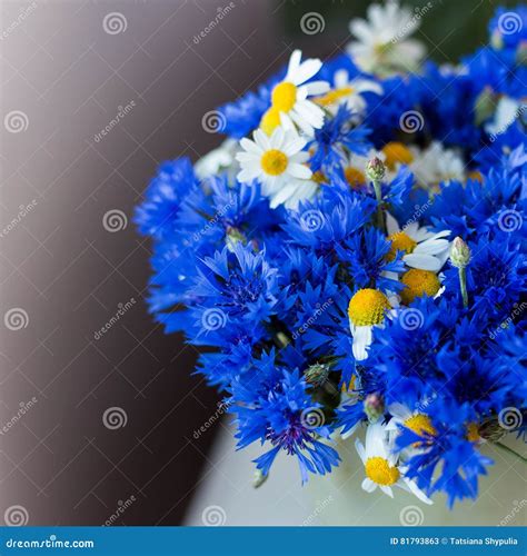 Beautiful Big Bouquet Of Wild Flowers Of Cornflowers And Daisies