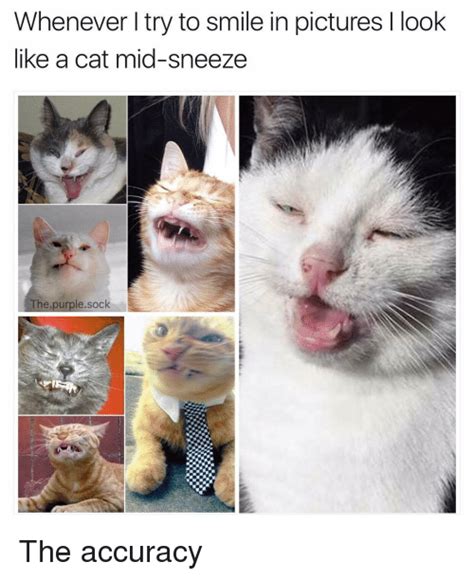 Funny Sneeze Memes Of 2017 On Meme Caught