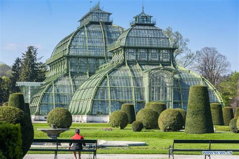 Scenery Of Schonbrunn Gardens In Vienna Austria Xinhua Englishnewscn