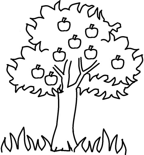 Black And White Apple Tree Clipart 101 Clip Art