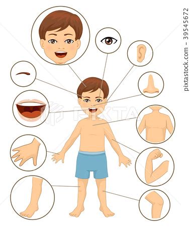 Maybe you would like to learn more about one of these? Kid Boy Body Parts Illustration-图库插图 39545672 - PIXTA