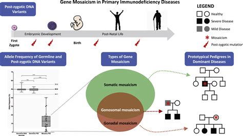 Unexpected Relevant Role Of Gene Mosaicism In Patients With Primary