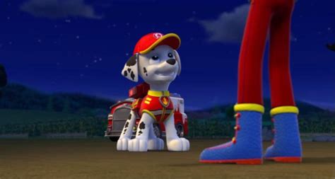 Pin By Christopher Sam On Paw Patrol In 2021 Paw Patrol Pups Paw