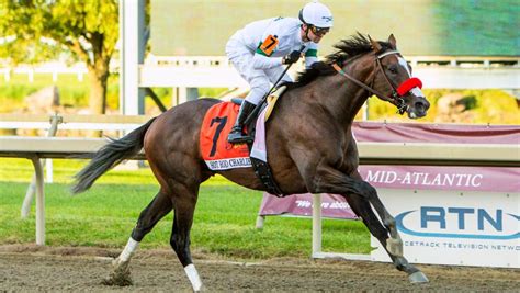 Getting To Know Breeders Cup Classic Contender Hot Rod Charlie