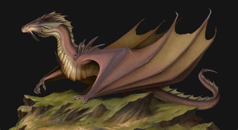 Wyvern By Tatiana Makeeva Dragon Artwork Pet Dragon Fantasy