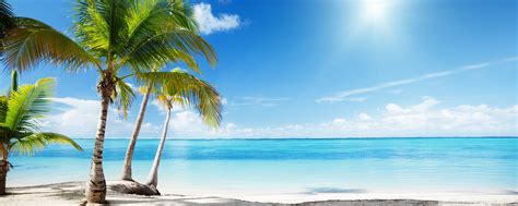 Tropical Beach Paradise Wallpaper 2560x1024 32271