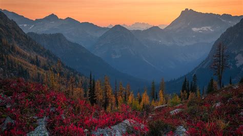 Alps Fall Forest Mountain During Sunset HD Nature Wallpapers HD Wallpapers ID