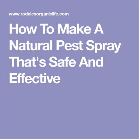 They will spray the foundation and also go around the doors. How To Make A Natural Pest Spray That's Safe And Effective | Pest spray, Insect spray, Natural ...