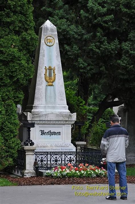 Web Steiner Zentralfriedhof Wien