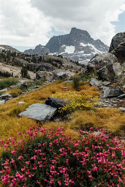 Mountain With Wildflowers Del Colaborador De Stocksy Simone Anne