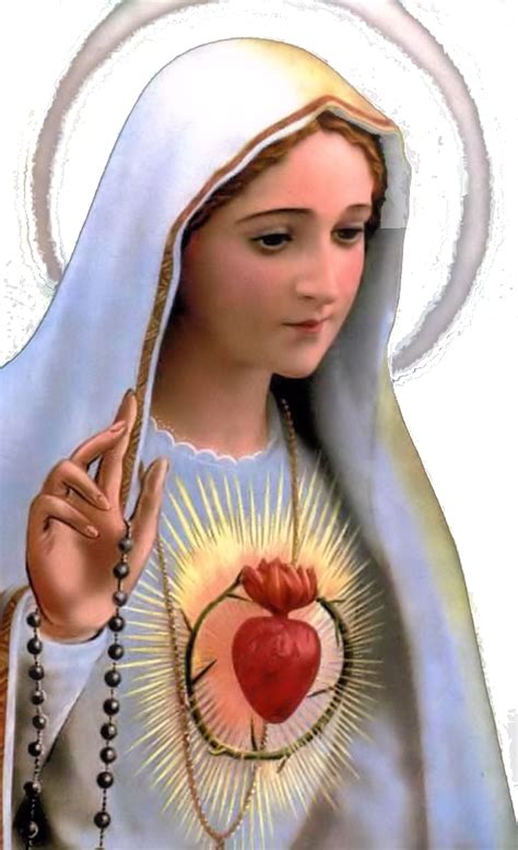 Virgen Maria Animada Png Png Download Transparent Png Kindpng Reverasite
