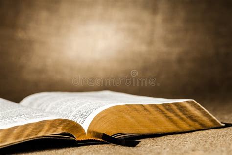 Open Holy Bible Book Close Up View Stock Image Image Of Text