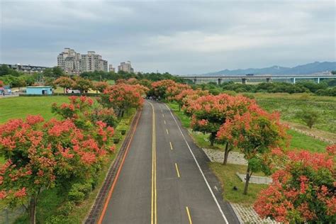 See more of 新北市政府警察局 on facebook. 秋日限定栾树绽放 新北浪漫粉红步道必赏_新北旅游_台湾岛旅游网